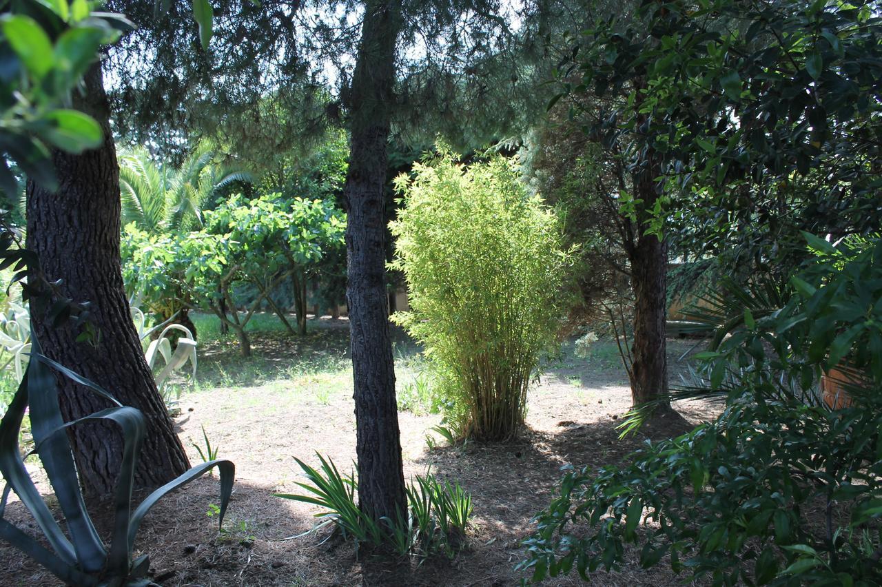 Sea Garden Rooms Termoli Εξωτερικό φωτογραφία